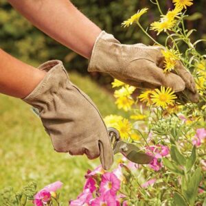 best gardening gloves Leather and fleece for thorns, spines and prickles